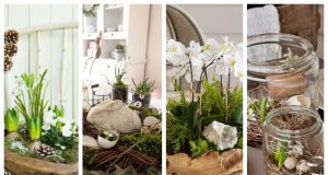 Give your home a spring atmosphere – Inspiration for beautiful natural decorations