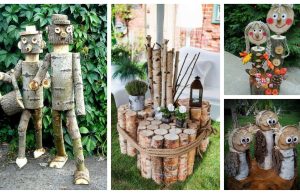 Collect wood and twigs in the forest – Inspiration for decorations made of old wood