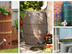 30+ original and practical ideas to collect rainwater!