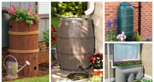 30+ original and practical ideas to collect rainwater!