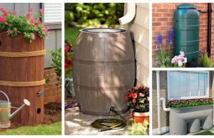30+ original and practical ideas to collect rainwater!