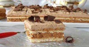 Fantastic creamy chocolate dessert with crunchy biscuits and coconut