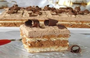 Fantastic creamy chocolate dessert with crunchy biscuits and coconut