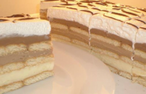 Delicious no-bake cake with custard – a great complement to afternoon coffee