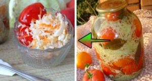 Folk delicacy from grandma: Traditional boiled tomatoes with cabbage: We feast on them all winter long!