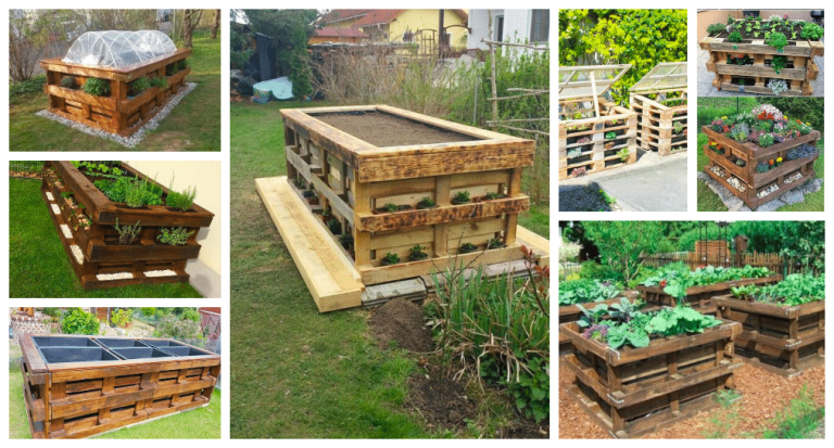 Create raised beds in your garden with wooden pallets