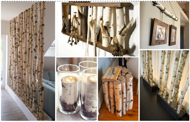 Birch wood as a beautiful natural decoration