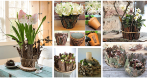 Inspiration for beautiful spring creations: use ordinary bark!