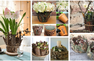 Inspiration for beautiful spring creations: use ordinary bark!
