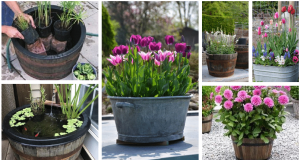 Inspiration for the upcoming gardening season: Turn a tin and wooden lavor into a beautiful garden piece!