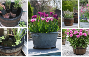 Inspiration for the upcoming gardening season: Turn a tin and wooden lavor into a beautiful garden piece!