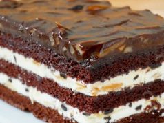 Luxurious cocoa-cream slices with chocolate – A dessert that not only children love!