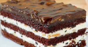 Luxurious cocoa-cream slices with chocolate – A dessert that not only children love!