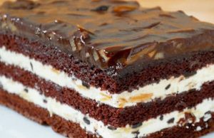 Luxurious cocoa-cream slices with chocolate – A dessert that not only children love!