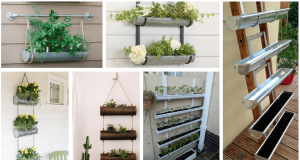 Original ways to use the gutter in your garden and home – Get inspired!