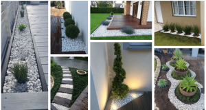 Add a few pieces of white pebbles to your garden: the result will amaze you!