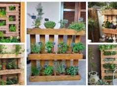 Make a pot for growing herbs and flowers from a wooden pallet