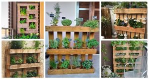 Make a pot for growing herbs and flowers from a wooden pallet