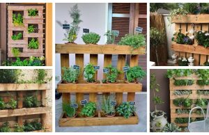 Make a pot for growing herbs and flowers from a wooden pallet