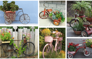 Make use of an old tricycle or bike in this great decorative way in your garden!