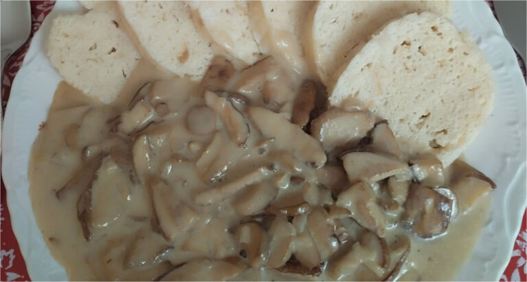Mushroom Sauce from Porcini with Cream and Homemade Yeast Dumplings: A Traditional Gem of Czech Cuisine