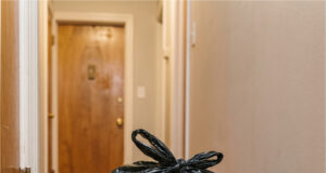A Neighbor Started Leaving Garbage Bags Behind His Door in the Hallway. He Said They Smelled at Home Well-kept and clean space in an apartment building.