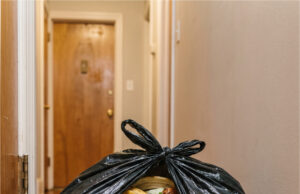 A Neighbor Started Leaving Garbage Bags Behind His Door in the Hallway. He Said They Smelled at Home Well-kept and clean space in an apartment building.