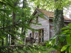 Rustic Cabin Surrounded by Birches, Ash, and Oaks – Perfect for Relaxation Rustic cabin surrounded by birches, ash, and oaks
