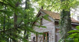 Rustic Cabin Surrounded by Birches, Ash, and Oaks – Perfect for Relaxation Rustic cabin surrounded by birches, ash, and oaks
