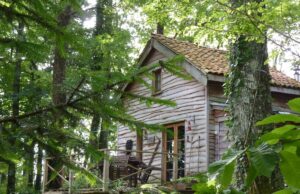 Rustic Cabin Surrounded by Birches, Ash, and Oaks – Perfect for Relaxation Rustic cabin surrounded by birches, ash, and oaks