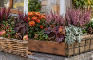 Don’t Hide Your Geranium Planters: 20 Autumn Ideas to Brighten Up Your Windowsill and Balcony Heathers, pumpkin, and ivy in a dark autumn planter