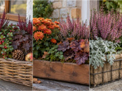 Don’t Hide Your Planter Boxes After Geraniums: 20 Autumn Ideas to Brighten Your Windowsill and Balcony Heathers, pumpkin and ivy in a dark planter box