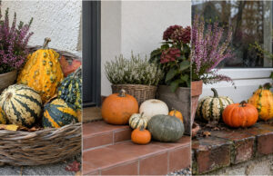 Just a Few Ornamental Gourds: 20 Autumn Decorations to Cozy Up Your Entrance, Balcony, and Home Ornamental gourds grouped on steps with heather and hydrangeas