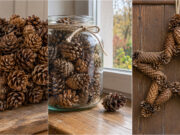 Don’t Spend on Autumn Decorations: 20 Beautiful Ideas with Pine Cones Collected on a Walk Pine cones arranged in a glass jar as a simple autumn decoration