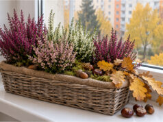 Window Sills Don’t Have to Be Empty in Autumn: 20 Beautiful Ideas with Heather, Pumpkins, and Natural Materials Wicker basket with heather and autumn decorations on a window sill